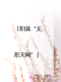 织就“无形天网”
