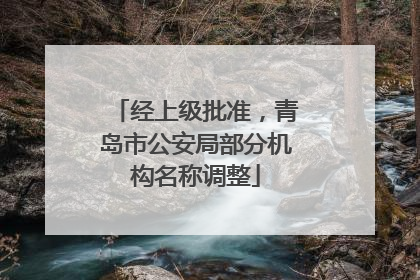 经上级批准，青岛市公安局部分机构名称调整