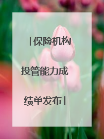 保险机构投管能力成绩单发布