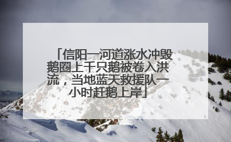 信阳一河道涨水冲毁鹅圈上千只鹅被卷入洪流，当地蓝天救援队一小时赶鹅上岸