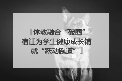体教融合“破圈” 宿迁为学生健康成长铺就“跃动跑道”