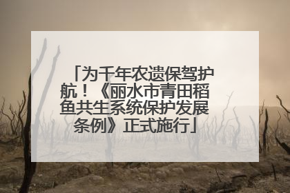 为千年农遗保驾护航！《丽水市青田稻鱼共生系统保护发展条例》正式施行