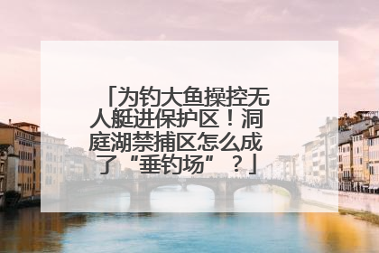 为钓大鱼操控无人艇进保护区！洞庭湖禁捕区怎么成了“垂钓场”？