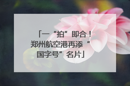 一“拍”即合！郑州航空港再添“国字号”名片