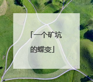 一个矿坑的蝶变
