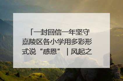 一封回信一年坚守 嘉陵区各小学用多彩形式说“感恩”｜风起之江 扶摇直上
