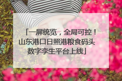 一屏统览，全局可控！山东港口日照港粮食码头数字孪生平台上线
