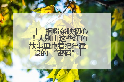 一捆粉条映初心！大别山这些红色故事里藏着纪律建设的 “密码”