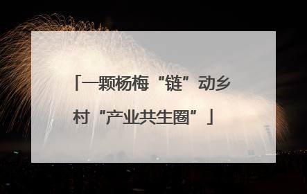 一颗杨梅“链”动乡村“产业共生圈”