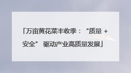 万亩黄花菜丰收季：“质量 + 安全” 驱动产业高质量发展