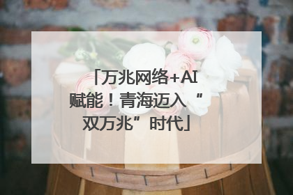 万兆网络+AI赋能！青海迈入“双万兆”时代