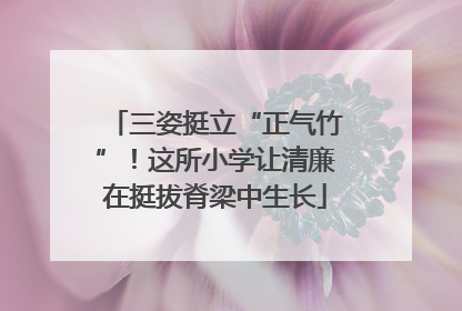 三姿挺立“正气竹”！这所小学让清廉在挺拔脊梁中生长