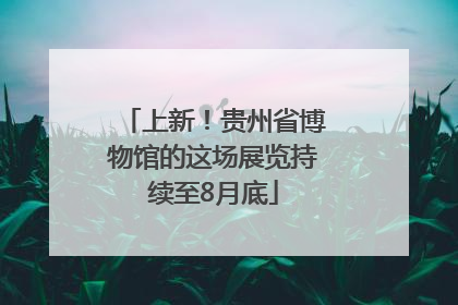 上新！贵州省博物馆的这场展览持续至8月底