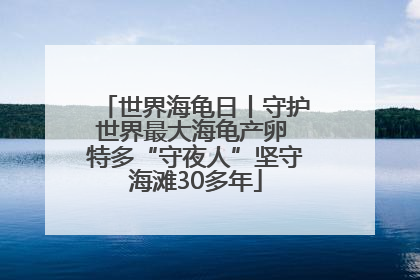 世界海龟日丨守护世界最大海龟产卵 特多“守夜人”坚守海滩30多年