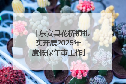东安县花桥镇扎实开展2025年度低保年审工作
