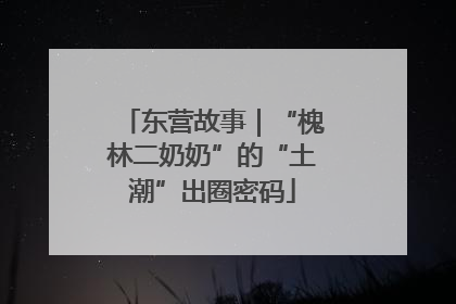 东营故事｜“槐林二奶奶”的“土潮”出圈密码