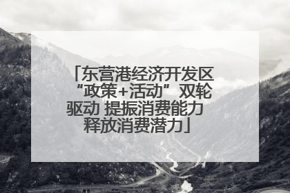东营港经济开发区“政策+活动”双轮驱动 提振消费能力 释放消费潜力
