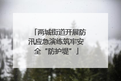 两城街道开展防汛应急演练筑牢安全“防护堤”