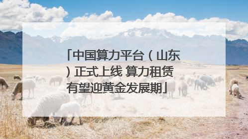 中国算力平台（山东）正式上线 算力租赁有望迎黄金发展期