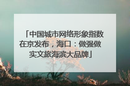中国城市网络形象指数在京发布，海口：做强做实文旅海滨大品牌