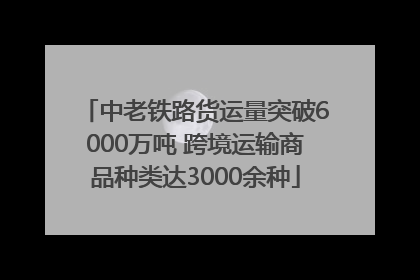 中老铁路货运量突破6000万吨 跨境运输商品种类达3000余种