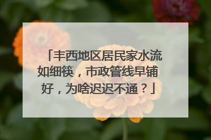 丰西地区居民家水流如细筷，市政管线早铺好，为啥迟迟不通？