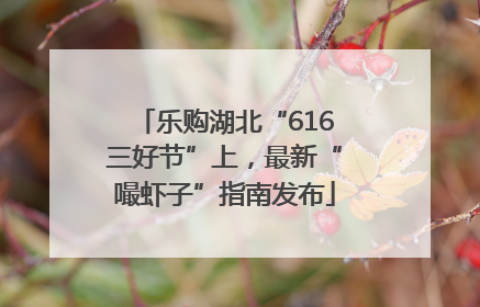 乐购湖北“616三好节”上，最新“嘬虾子”指南发布