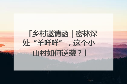 乡村邀请函｜密林深处“羊咩咩”，这个小山村如何逆袭？