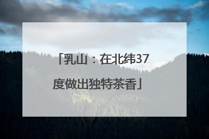 乳山：在北纬37度做出独特茶香