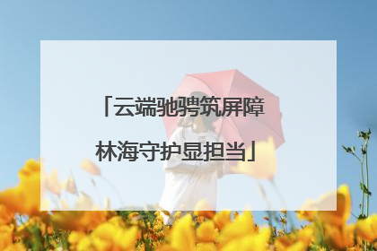 云端驰骋筑屏障 林海守护显担当