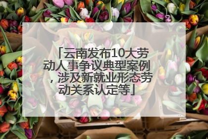 云南发布10大劳动人事争议典型案例，涉及新就业形态劳动关系认定等