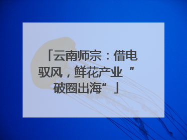 云南师宗：借电驭风，鲜花产业“破圈出海”