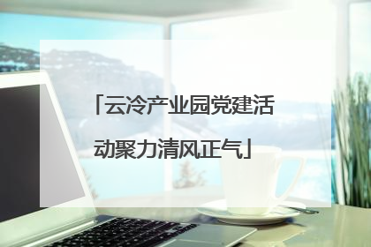 云冷产业园党建活动聚力清风正气