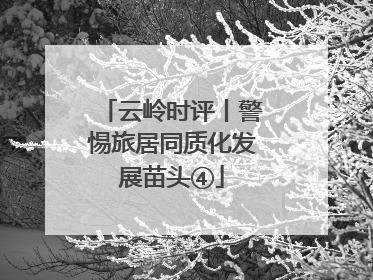 云岭时评丨警惕旅居同质化发展苗头④