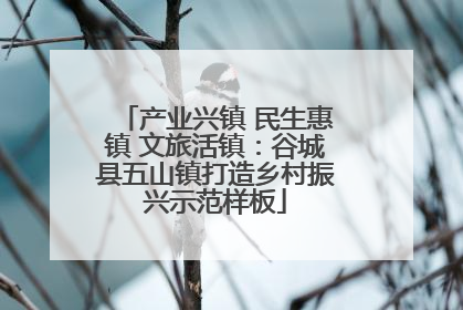 产业兴镇 民生惠镇 文旅活镇：谷城县五山镇打造乡村振兴示范样板