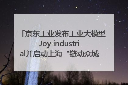 京东工业发布工业大模型Joy industrial并启动上海“链动众城 万亿降本”计划