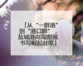 从“一群港”到“港口群”，盐城港向海图强书写崛起壮歌