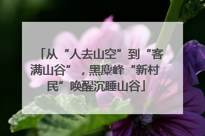 从“人去山空”到“客满山谷”，黑麋峰“新村民”唤醒沉睡山谷
