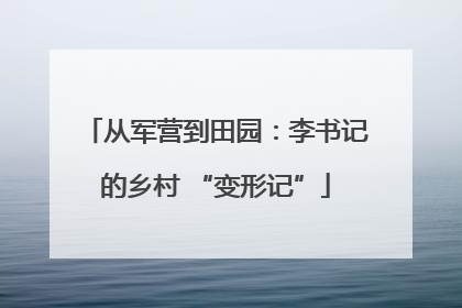 从军营到田园：李书记的乡村 “变形记”