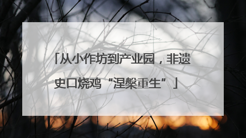 从小作坊到产业园，非遗史口烧鸡“涅槃重生”