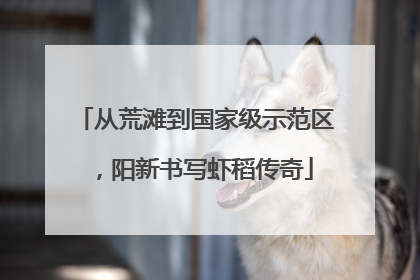 从荒滩到国家级示范区，阳新书写虾稻传奇