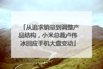 从追求销量到调整产品结构，小米总裁卢伟冰回应手机大盘变动