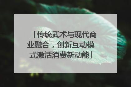 传统武术与现代商业融合，创新互动模式激活消费新动能