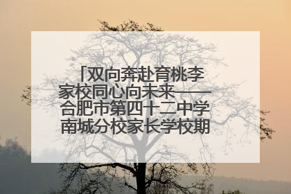 双向奔赴育桃李 家校同心向未来——合肥市第四十二中学南城分校家长学校期末总结会圆满召开