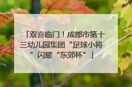 双喜临门！成都市第十三幼儿园集团“足球小将”闪耀“东郊杯”