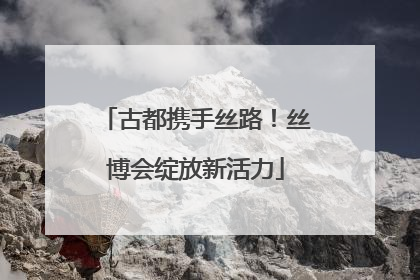 古都携手丝路！丝博会绽放新活力
