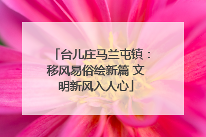 台儿庄马兰屯镇：移风易俗绘新篇 文明新风入人心