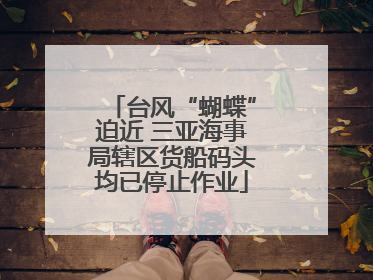 台风“蝴蝶”迫近 三亚海事局辖区货船码头均已停止作业