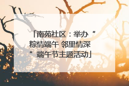 南苑社区：举办“粽情端午 邻里情深”端午节主题活动