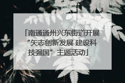 南通通州兴东街道开展“矢志创新发展 建设科技强国”主题活动